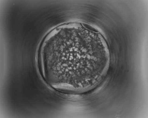 X0000088431007200706121447