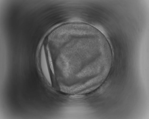 X0000088431008200706121447