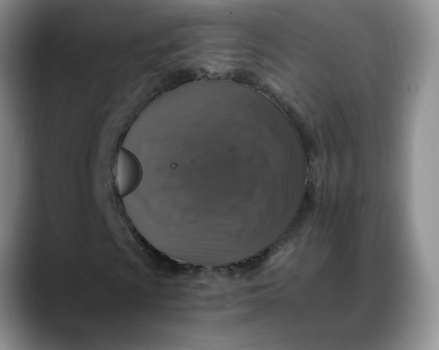 X0000088431009200706121446