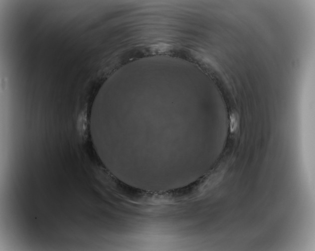 X0000088431011200706121446