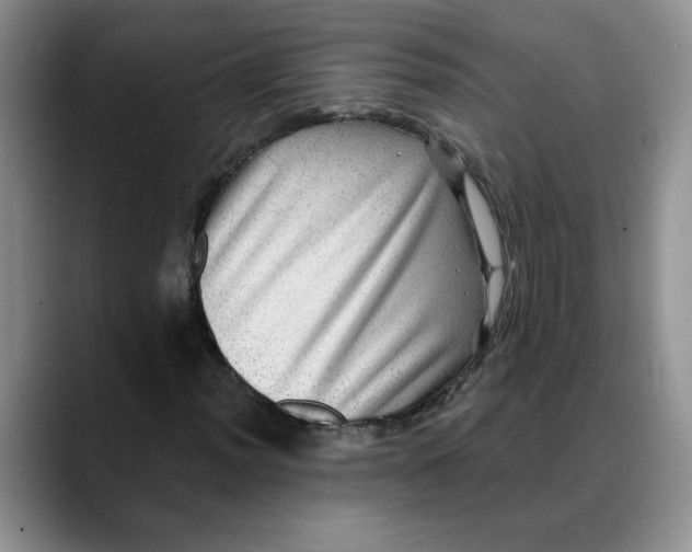 X0000088431012200706121447