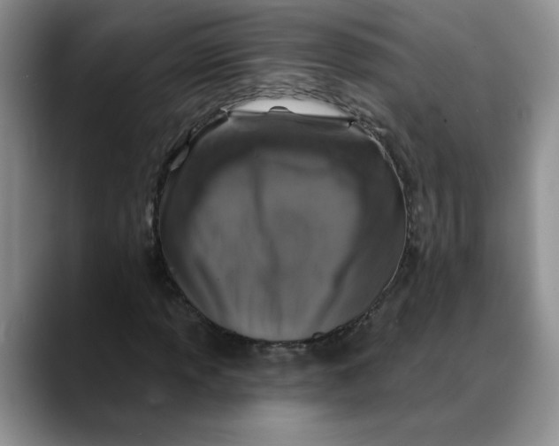 X0000088431013200706121447