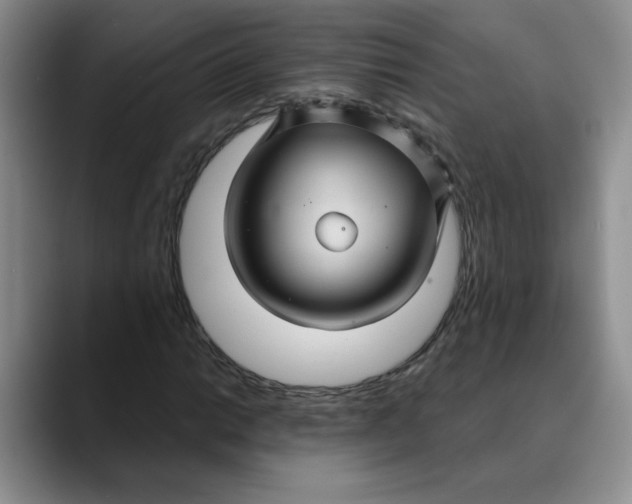 X0000088431014200706121447