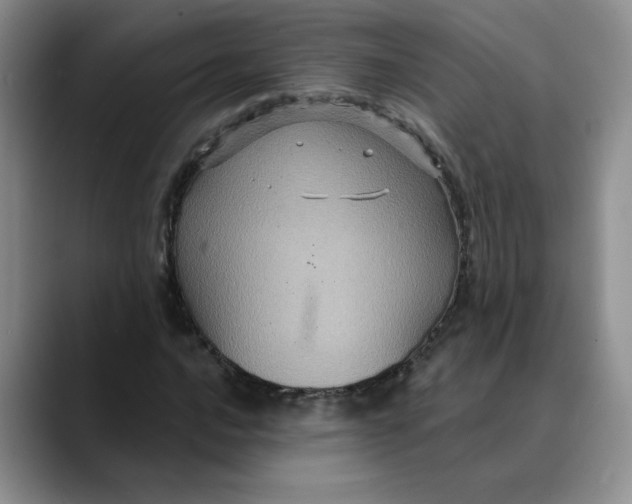 X0000088431016200706121447