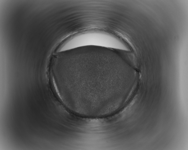 X0000088431018200706121447