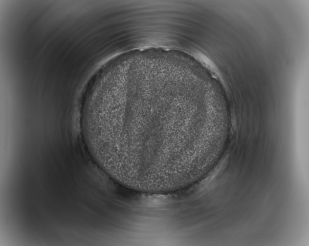 X0000088431019200706121447