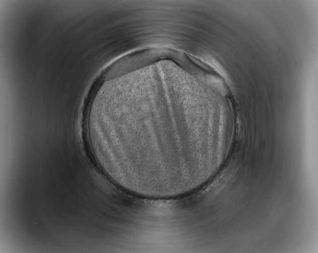 X0000088431020200706121447