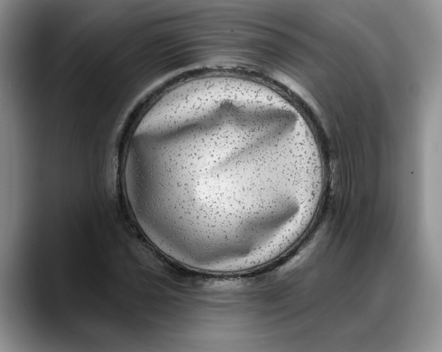 X0000088431021200706121447