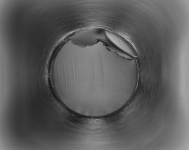 X0000088431024200706121447