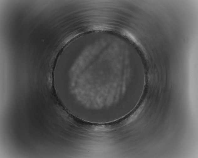 X0000088431025200706121447