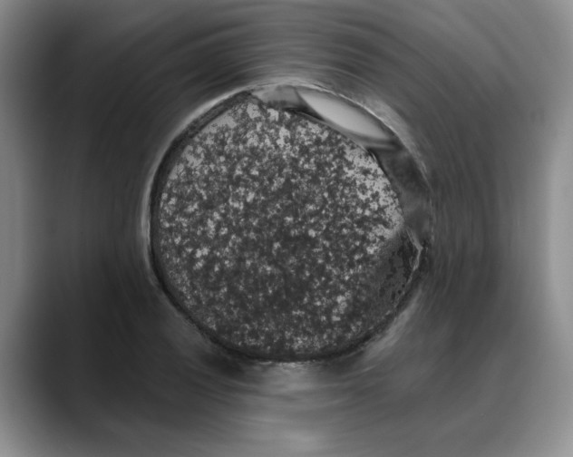 X0000088431028200706121447