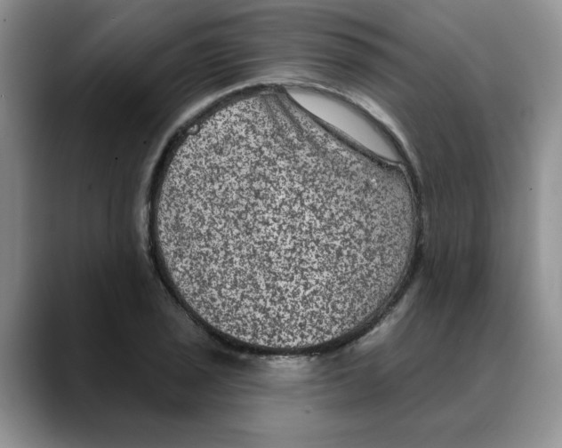 X0000088431029200706121447