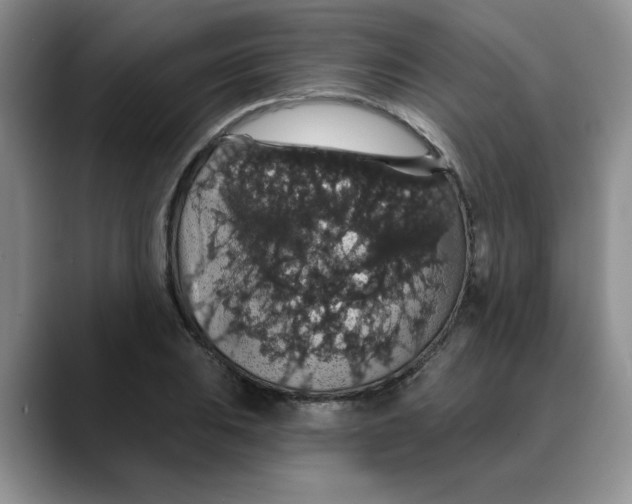 X0000088431031200706121447