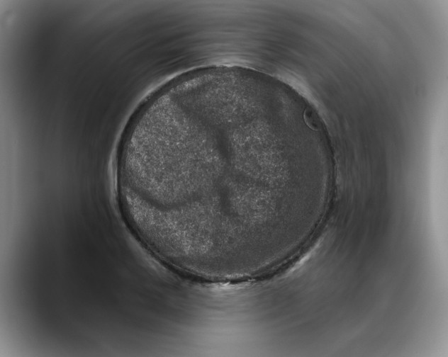 X0000088431032200706121447