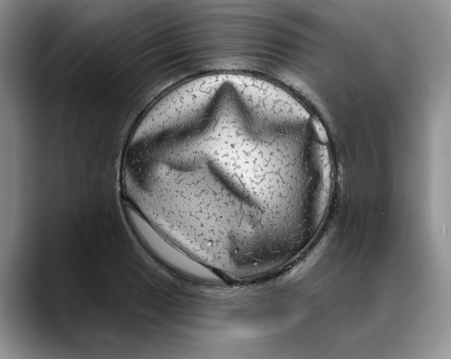 X0000088431033200706121447