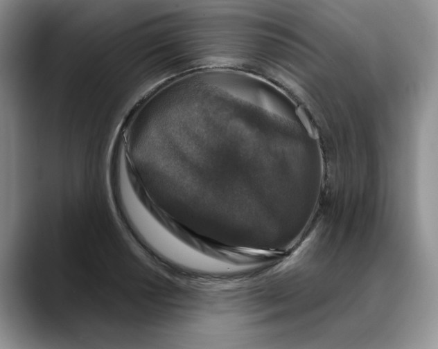 X0000088431034200706121447