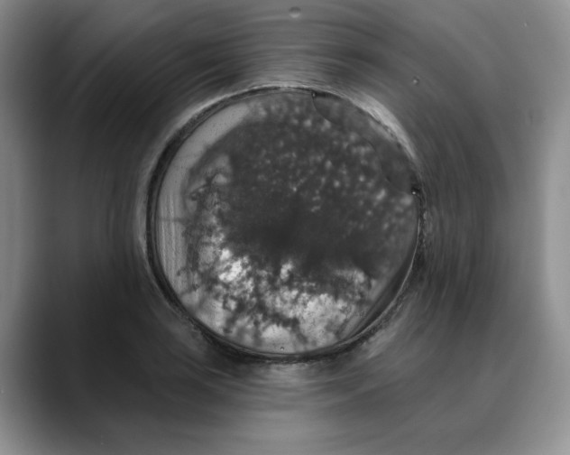 X0000088431035200706121447