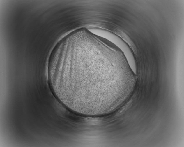 X0000088431036200706121447