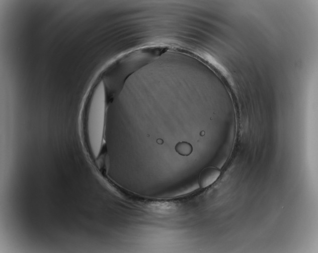 X0000088431037200706121447