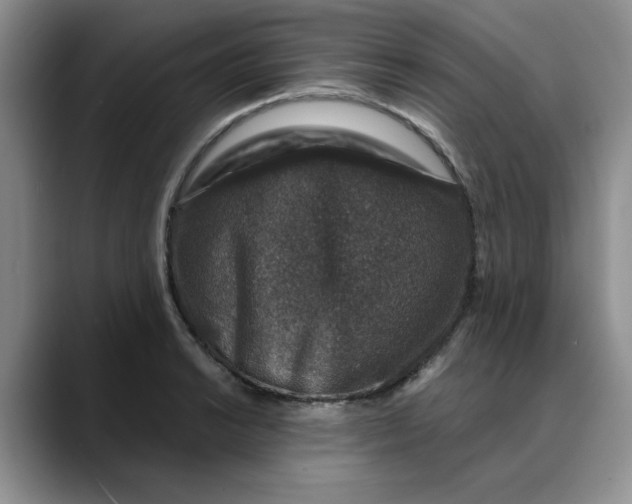 X0000088431038200706121447