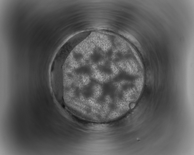 X0000088431039200706121447