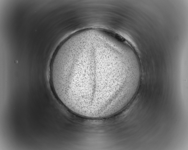 X0000088431040200706121447