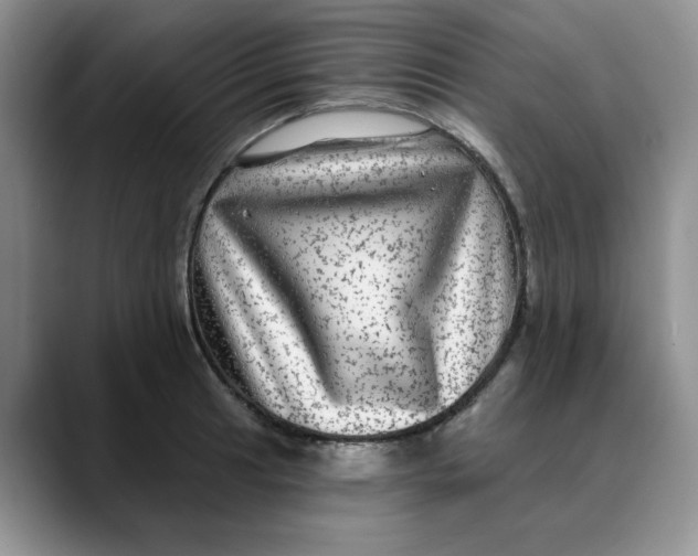 X0000088431041200706121447