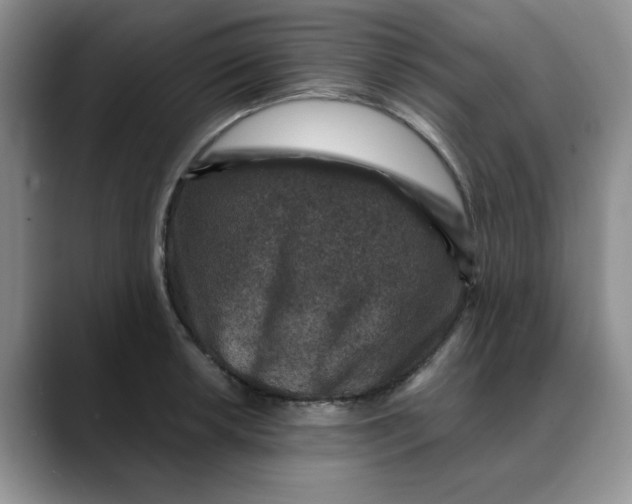 X0000088431042200706121447