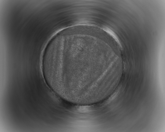 X0000088431043200706121447