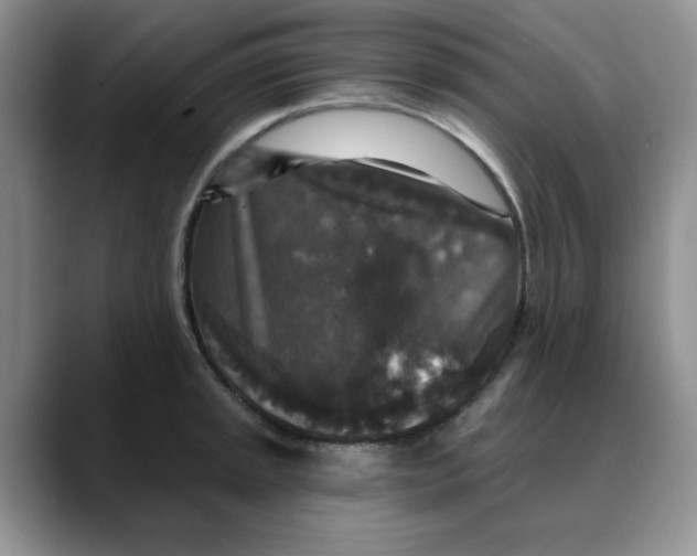 X0000088431045200706121447