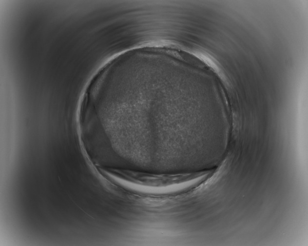 X0000088431046200706121447