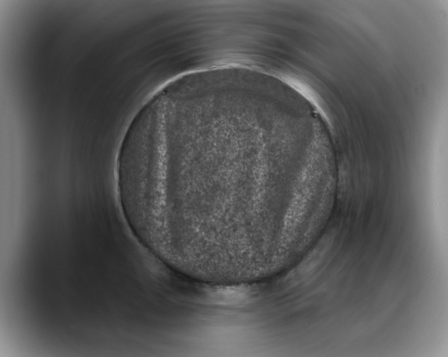 X0000088431047200706121447