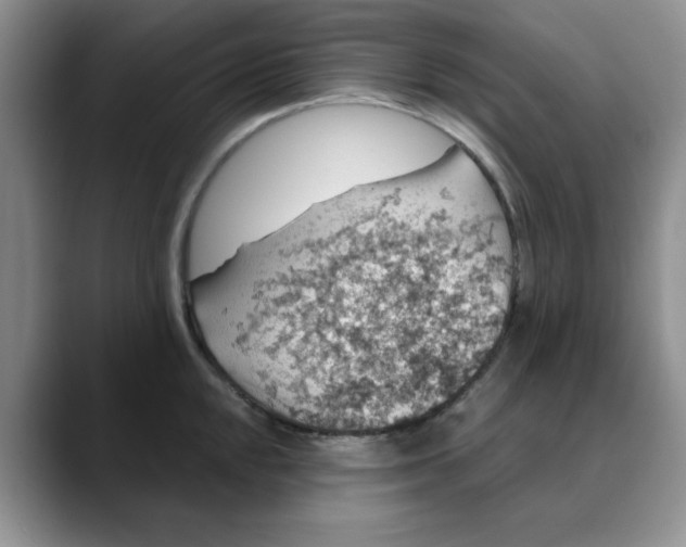 X0000088431048200706121447