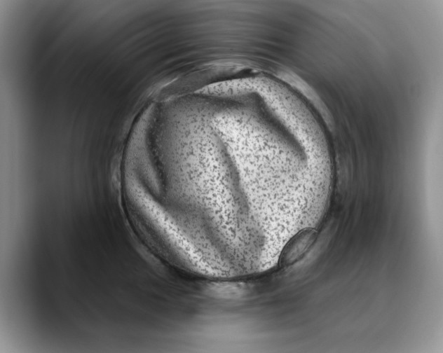 X0000088431049200706121447