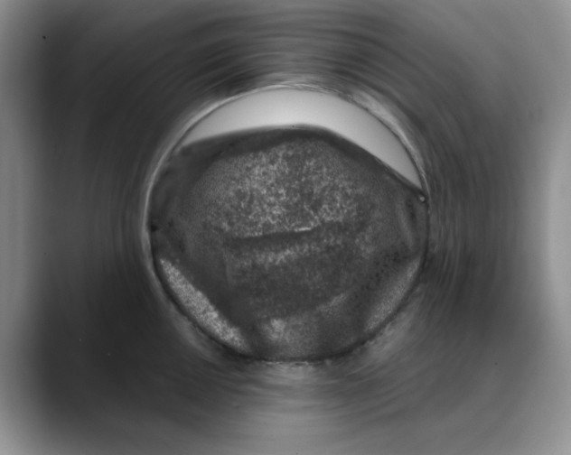 X0000088431050200706121447