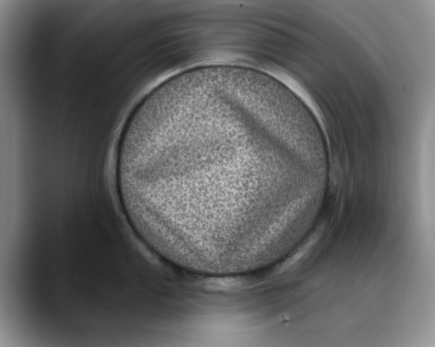 X0000088431053200706121447