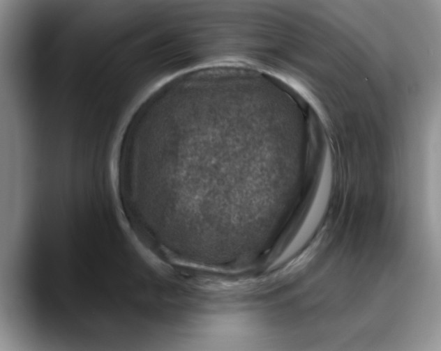 X0000088431054200706121447