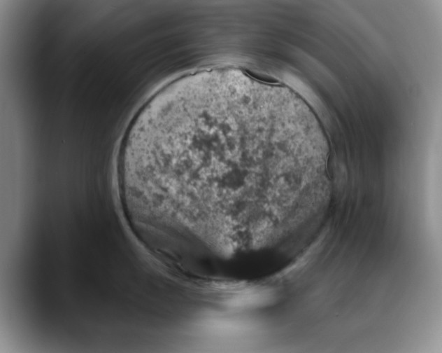 X0000088431055200706121447