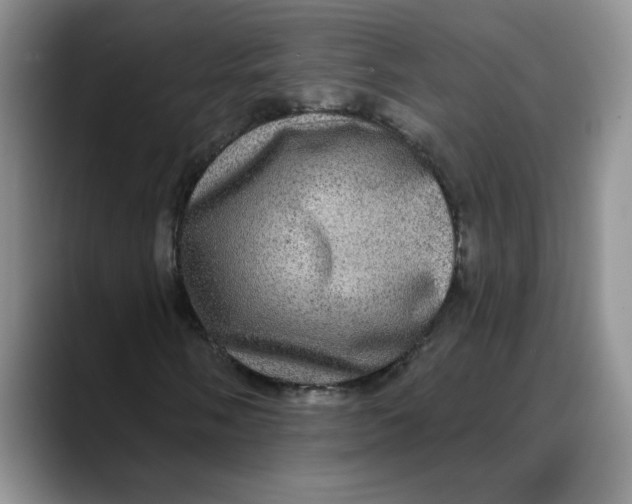 X0000088431058200706121446