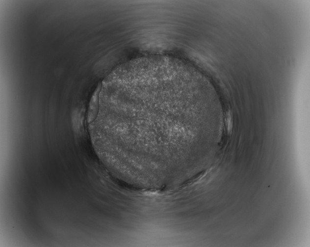 X0000088431059200706121446