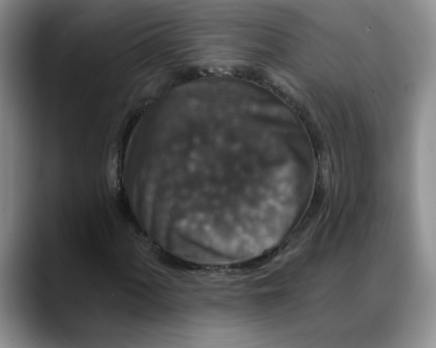 X0000088431060200706121446