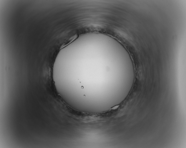 X0000088431061200706121446