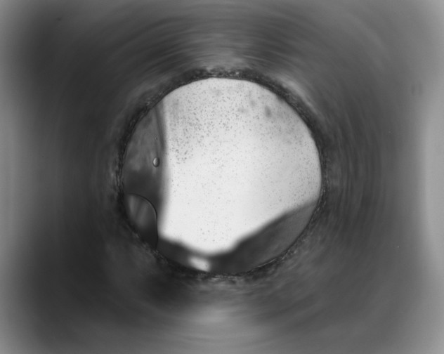 X0000088431063200706121446