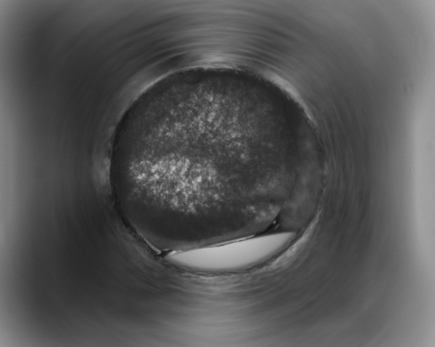 X0000088431066200706121446