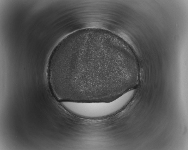 X0000088431068200706121446