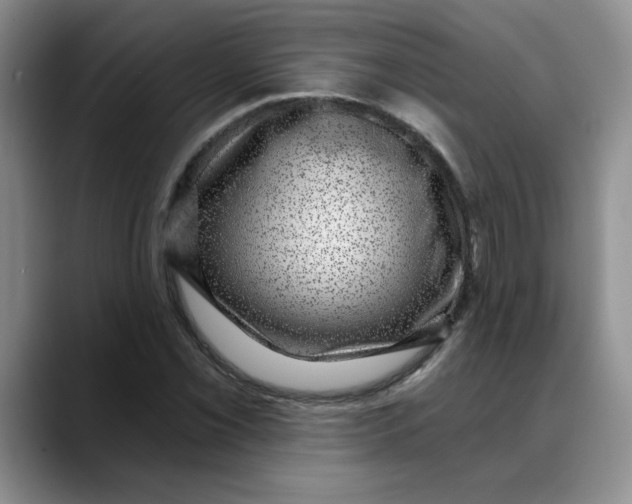 X0000088431069200706121446