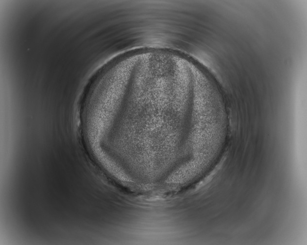 X0000088431070200706121446