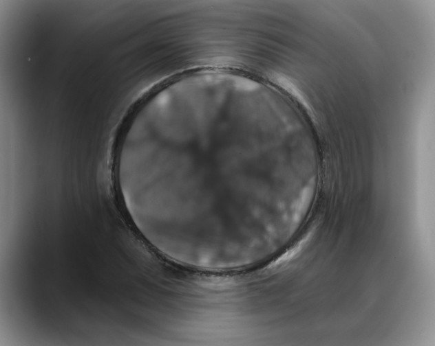 X0000088431071200706121446