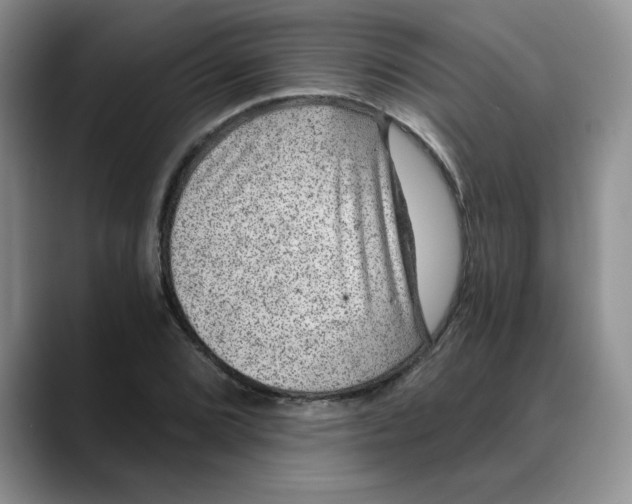 X0000088431072200706121446