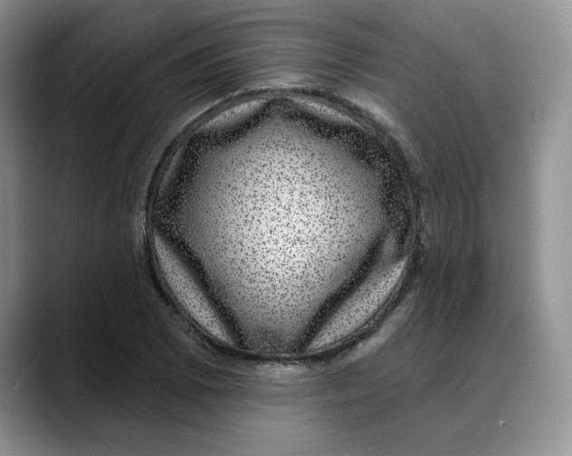 X0000088431073200706121446